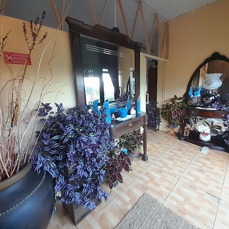 Hotel Gite Cantinho Davo Campea Exterior photo